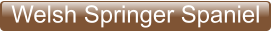 Welsh Springer Spaniel