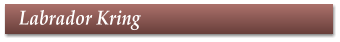 Labrador Kring